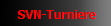 SVN-Turniere